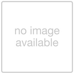 Twin wheel swivel castor for office chairs